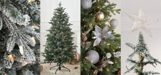 Creating the Perfect Holiday Product Collection